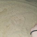 (Category: ) located in . Submitted by tracct (Listing ID 1196291379, Image 1). Description: .