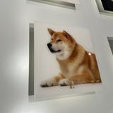 (分類:)位於 。 由 eleeg12 提交(商品編號 1442487073,圖片 1)。簡介: 。