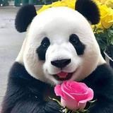 （分類：）位於 。 由 well2022 提交（商品編號 1315892223，圖片 1）。簡介： 。