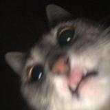 (Category: ) located in . Submitted by datiusanthonys (Listing ID 1297852095, Image 1). Description: .