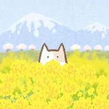 由 heiwajima (刊登 ID 1383115916，圖片 1) 提交，位於 的 (類別：)，說明：。