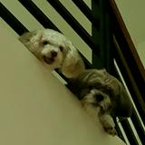 (Category: ) located in . Submitted by jnetpreloveditems (Listing ID 1278464362, Image 1). Description: .