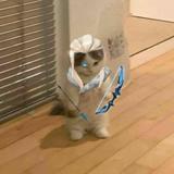 (Category: ) located in . Submitted by yandeclutter (Listing ID 1456869303, Image 1). Description: .