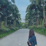 (Kategori: ) berada di . Dikirim oleh yohannaven81951 (ID iklan 1332004807, Gambar 1). Deskripsi: .