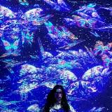 (Kategori: ) berada di . Dikirim oleh cccllh (ID iklan 1363597978, Gambar 1). Deskripsi: .