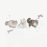 (Category: ) located in . Submitted by nctdreams (Listing ID 1364031169, Image 1). Description: .