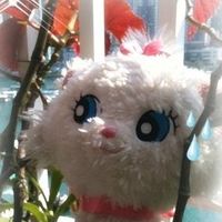 (分類:)位於 。 由 lovestrawberrytoo 提交(商品編號 1460211457,圖片 1)。簡介: 。