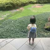 由 jenn_918 (刊登 ID 1384671546，圖片 1) 提交，位於 的 (類別：)，說明：。
