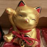 （分類：）位於 。 由 ariestsang94259 提交（商品編號 1383213757，圖片 1）。簡介： 。