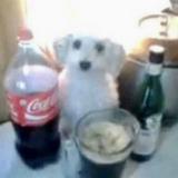 (Category: ) located in . Submitted by garfed (Listing ID 1380181704, Image 1). Description: .