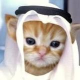 (Category: ) located in . Submitted by ghost_rider_69 (Listing ID 1317430781, Image 1). Description: .