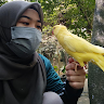 (Category: ) located in . Submitted by hanisahnis82694 (Listing ID 1453864522, Image 1). Description: .