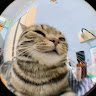(Category: ) located in . Submitted by wannur0115 (Listing ID 1411649574, Image 1). Description: .