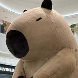 （分類：）位於 。 由 sell_ye 提交（商品編號 1310907420，圖片 1）。簡介： 。