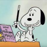 （分類：）位於 。 由 happysnoopy321 提交（商品編號 1297886371，圖片 1）。簡介： 。