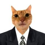 (Category: ) located in . Submitted by catdealer22 (Listing ID 1443653437, Image 1). Description: .