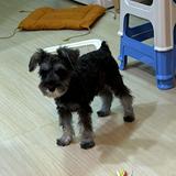 （分類：）位於 。 由 sell.sell.u 提交（商品編號 1305258916，圖片 1）。簡介： 。