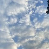 (分類:)位於 。 由 siussssss 提交(商品編號 1389798884,圖片 1)。簡介: 。