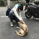 頭像
