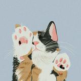 (分類:)位於 。 由 beth_____. 提交(商品編號 1450579747,圖片 1)。簡介: 。