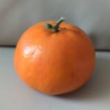 （分類：）位於 。 由 tan_tangerine 提交（商品編號 268808559，圖片 1）。簡介： 。