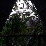 (Category: ) located in . Submitted by branded.bin (Listing ID 1375757669, Image 1). Description: .