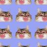 (Category: ) located in . Submitted by twinkliggt (Listing ID 1244593589, Image 1). Description: .