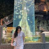 (Kategori: ) berada di . Dikirim oleh novimarina (ID iklan 1344205014, Gambar 1). Deskripsi: .