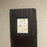 （分類：）位於 。 由 oddy33 提交（商品編號 1364513517，圖片 1）。簡介： 。