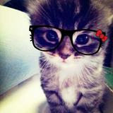 (Kategori: ) berada di . Dikirim oleh preluvzz (ID iklan 1299303218, Gambar 1). Deskripsi: .