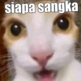 (Kategori: ) berada di . Dikirim oleh beliapanih (ID iklan 1374941080, Gambar 1). Deskripsi: .