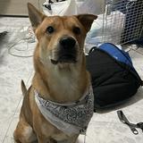 （分類：）位於 。 由 mikejohnson10 提交（商品編號 1352182854，圖片 1）。簡介： 。