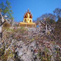 (Category: ) located in . Submitted by kwchong98860130 (Listing ID 1463363572, Image 1). Description: .