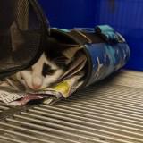 (Category: ) located in . Submitted by traciology (Listing ID 1340348575, Image 1). Description: .