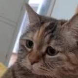 (Category: ) located in . Submitted by yemann2k3943343 (Listing ID 1373185992, Image 1). Description: .