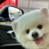 （分類：）位於 。 由 ytsejamraed 提交（商品編號 1381352956，圖片 1）。簡介： 。