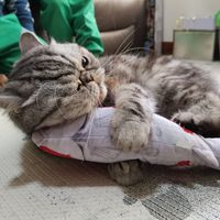 （分類：）位於 。 由 hongkam 提交（商品編號 1296750745，圖片 1）。簡介： 。