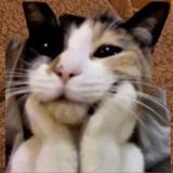 (Category: ) located in . Submitted by vhs.bea (Listing ID 1380285310, Image 1). Description: .