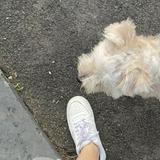 (Kategori: ) berada di . Dikirim oleh bumblebip (ID iklan 1266497891, Gambar 1). Deskripsi: .