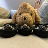 (Category: ) located in . Submitted by mac.c (Listing ID 1382530257, Image 1). Description: .