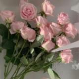 (Kategori: ) berada di . Dikirim oleh lapakica (ID iklan 1304364686, Gambar 1). Deskripsi: .