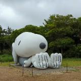 （分類：）位於 。 由 _haehae 提交（商品編號 1308243919，圖片 1）。簡介： 。