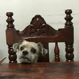 (Category: ) located in . Submitted by bea_declutters2022 (Listing ID 1381196635, Image 1). Description: .