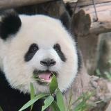 （分類：）位於 。 由 beeeeeeeee_ 提交（商品編號 1254479917，圖片 1）。簡介： 。