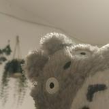 （分類：）位於 。 由 totoroo4 提交（商品編號 1384348476，圖片 1）。簡介： 。
