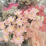 (Kategori: ) berada di . Dikirim oleh prelovedbyliv__ (ID iklan 1385944467, Gambar 1). Deskripsi: .