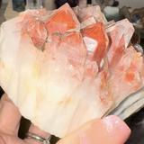 (Category: ) located in . Submitted by PNKCrystalLover (Listing ID 1326282827, Image 1). Description: .
