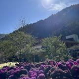 由 goodthingscomebuy (刊登 ID 1384998338，圖片 1) 提交，位於 的 (類別：)，說明：。
