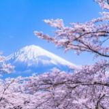 （分類：）位於 。 由 jptoyssell 提交（商品編號 1365772083，圖片 1）。簡介： 。