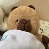 由 kuan.good.goods (刊登 ID 1385789177，圖片 1) 提交，位於 的 (類別：)，說明：。